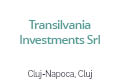 Transilvania Investments Srl