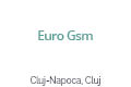 Euro Gsm