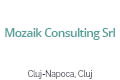 Mozaik Consulting Srl