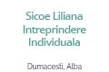 Sicoe Liliana Intreprindere Individuala
